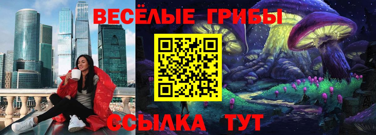 Солнечногорск  Псилоцибиновые грибы прущие грибы  Вход с VPN 