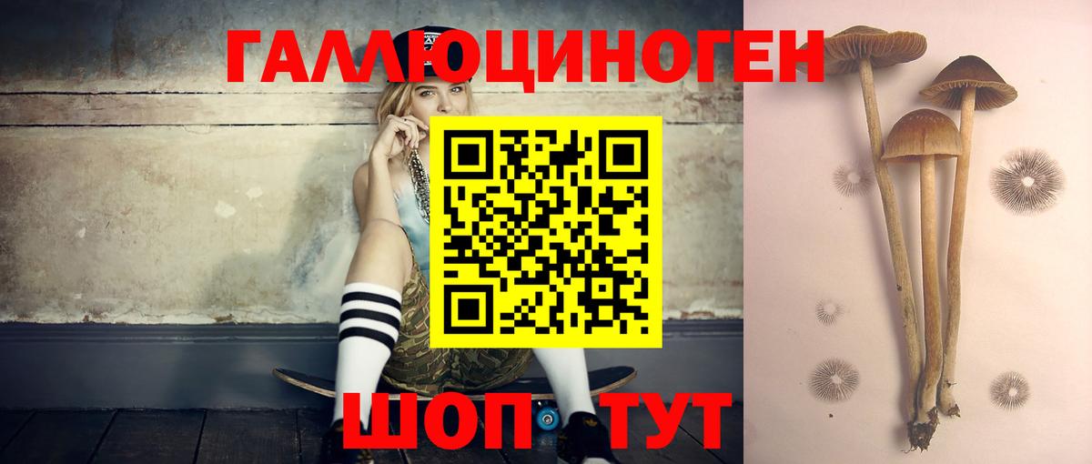 Псилоцибиновые грибы мицелий Солнечногорск